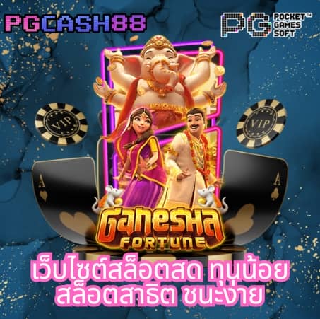 สล็อต224